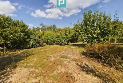 Casa cu teren 2877 mp, ora?ul Ineu - 7