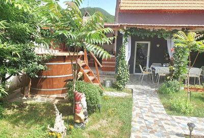 Afacere la cheie+ Casa de locuit in Berzasca-Dunare, mun?i ?i padure! - 7