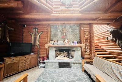 Cabana vanatoreasca din lemn cu vedere spectaculoasa, langa Castelul Cantacuzino - 15