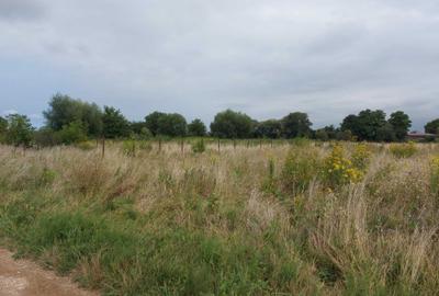 Spațiu comercial, în Stupini