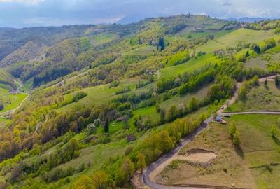 Teren 11,342 mp Poiana Marului /Extravilan/Oportunitate investiție - 8