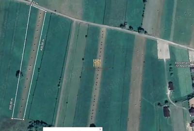 Teren de 5886 mp, în Bucșoaia - 1