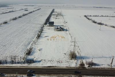 Teren 441, 100 m de la drumul principal, ultimul lot, Vidra - 5