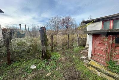 Casa 67 mp, 727 mp teren, 1190 mp extravilan, zona Doicesti - 3