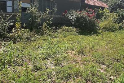 Casă cu Teren 2350 Mp în Central - 3