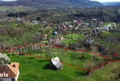 Teren de 3011 mp, în Bradu - 1