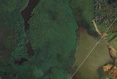 Teren de 131000 mp, în Piersica - 2