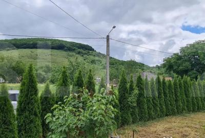 Casă cu 3 camere cu Teren 2900 Mp în Dej - 7