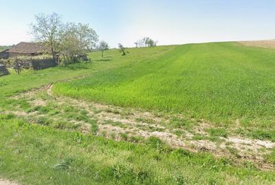 Teren Construcții intravilan de 5754 mp, în Lăzăreni - 3