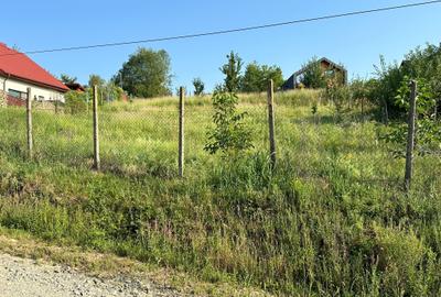 Teren intravilan 880 mp in Cisnadioara - str. Silvicultorilor - 2