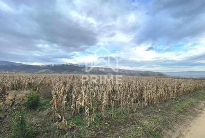 Teren de 3400 mp, în Pâclișa