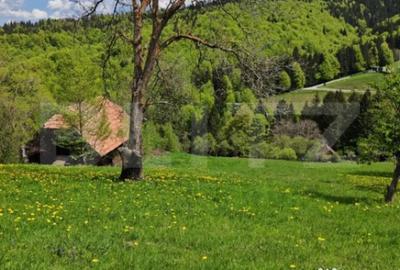 Teren de 3400 mp, în Bran - 5