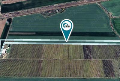 Teren de 19443 mp, în Zimandu Nou