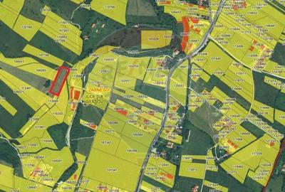 Teren Construcții intravilan de 4500 mp, în Tohanu Nou - 15