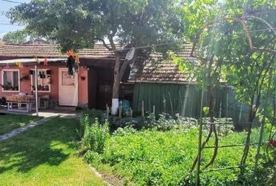 Casa, singur in curte in Bod, zona Centru - 2