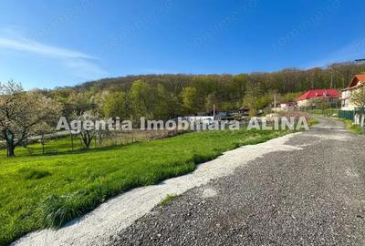 Teren intravilan 6.516 mp in Deva, prelungire str. Vulcan, spre Almas, Jud. Hunedoara. - 5