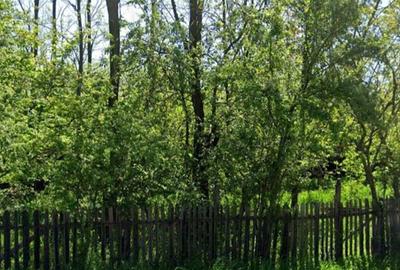 Spațiu comercial, în Vlad Țepeș - 4