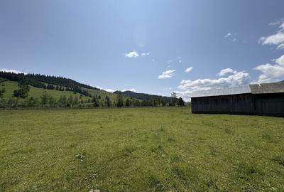 Teren de 75000 mp, în Dămuc - 4