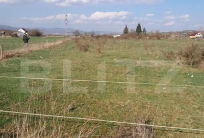 Teren intravilan 5000 mp, investi?ie intr-o zona in dezv - 1