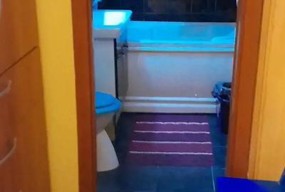 Apartament cu 2 camere decomandat în Electroprecizia - 10