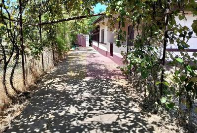 Movilita - vanzare casa 5 cam plus livada pe rod si teren 1800 mp - 4