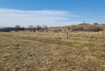 Teren agricol extravilan de 1000 mp, în Șelimbăr - 13