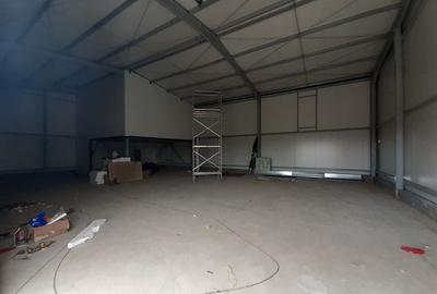 Hala noua 303mp - zona Drumul Intre Tarlale - Sos. Garii Catelu - 2