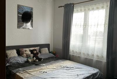 Garsonieră în Podgoria - 5