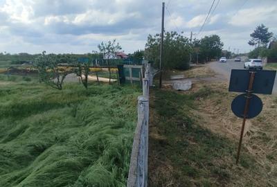 Spațiu comercial, în Leș - 5
