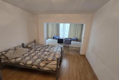 MT237 Apartament 1 camera, etaj 1, SAGULUI, centrala proprie - 4