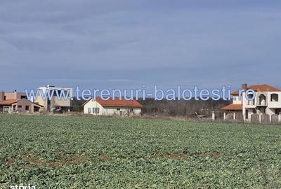 Spațiu comercial, în Balotești - 5