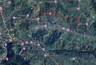 Teren Construcții intravilan de 1900 mp, în Sohodol - 7