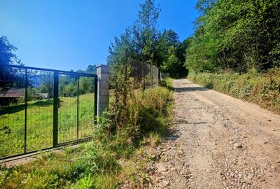CASA si 2393 mp TEREN INTRAVILAN, Muntii Apuseni, NEGRENI - CLUJ la 1 km de E60 - 45