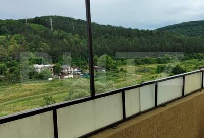Apartament pe doua etaje, 110 mp si balcon spatios de 12 mp, Valea Garbaului - 12