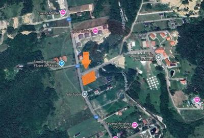 Teren 1600 mp cu proiect autoriza?ie, Chalet Duplex Ra?nov Glajerie - 10