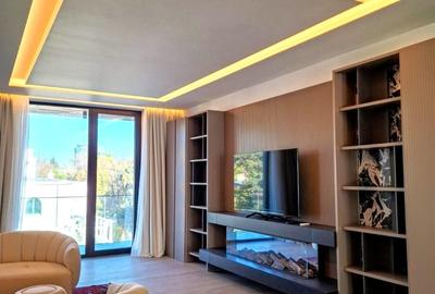 Penthouse 5 camere Kiseleff - 2