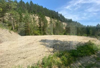 Teren intravilan, 842 mp, 27 ml front la drum, Cheile Baciul - 2