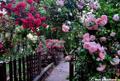 Casa 5 cam., 300 mp, crama, gradina, iaz, aer curat, liniste,  cartier Gruia - 28