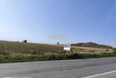 Teren agricol extravilan de 2500 mp, în Cocorăștii Colț - 4