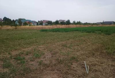 Spațiu comercial, în Țegheș - 4