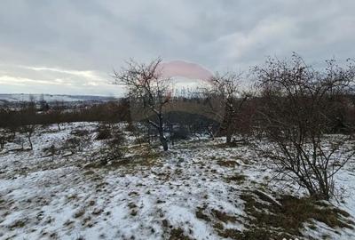 Teren de 10000 mp, în Rădășeni - 12