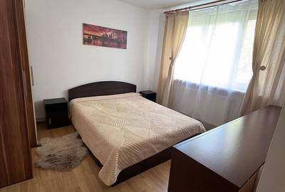 Apartament cu 2 camere semidecomandat în Sârbi - 4