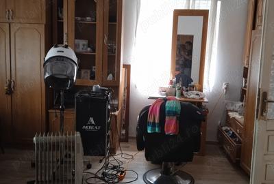 Casa vanzare seleus - 6