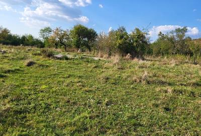 Casă cu 4 camere în Peștere - 9