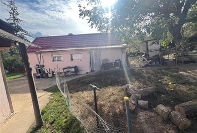 RECO, Casa cu 9168 mp teren intravilan, Sistera, Cetariu, Aproape de Oradea - 2