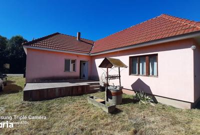 Casă cu 2 camere cu Teren 1000 Mp în Livada - 2