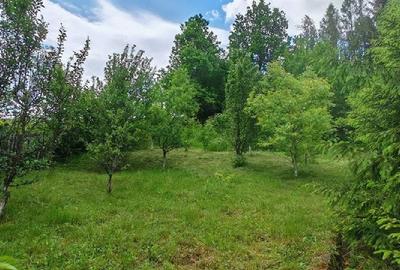 Teren de 800 mp, în Ibănești - 7