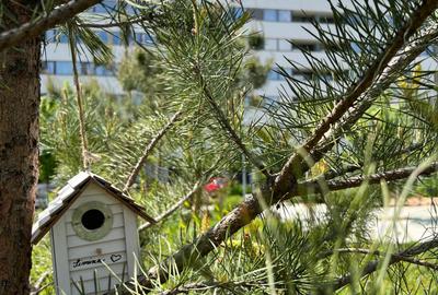 3 camere finalizat: 83mp SU totala I Sect 1 Lac Straulesti-Mall Colosseum - 14