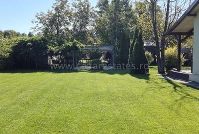 SNAGOV SAT OAZA DE LINISTE SI RELAXARE LINGA PADURE-TEREN 1240MP - 4