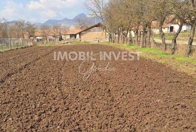 Casă cu 3 camere cu Teren 1200 Mp în Cricău - 2